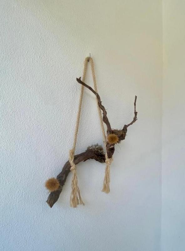 Apartament Encosta Do Sol Canas de Senhorim Zewnętrze zdjęcie
